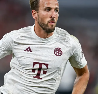 供了新的思 供了新的思